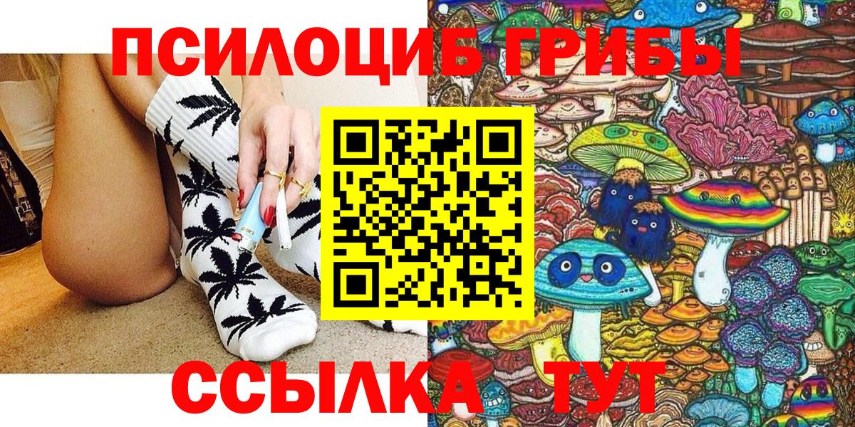 Богородицк  Галлюциногенные грибы Psilocybine cubensis  закладки  Вход с VPN 