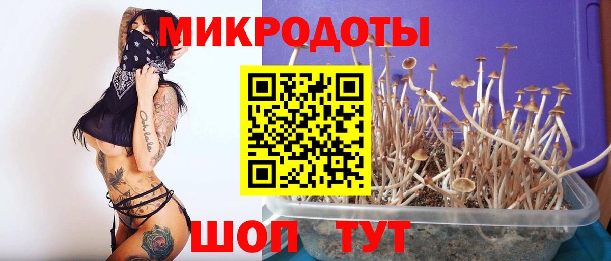 Псилоцибиновые грибы GOLDEN TEACHER Богородицк